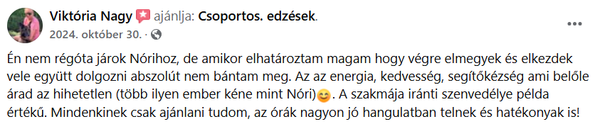 Nagy Viki véleménye